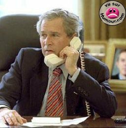 Bush