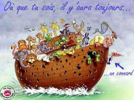 les connard